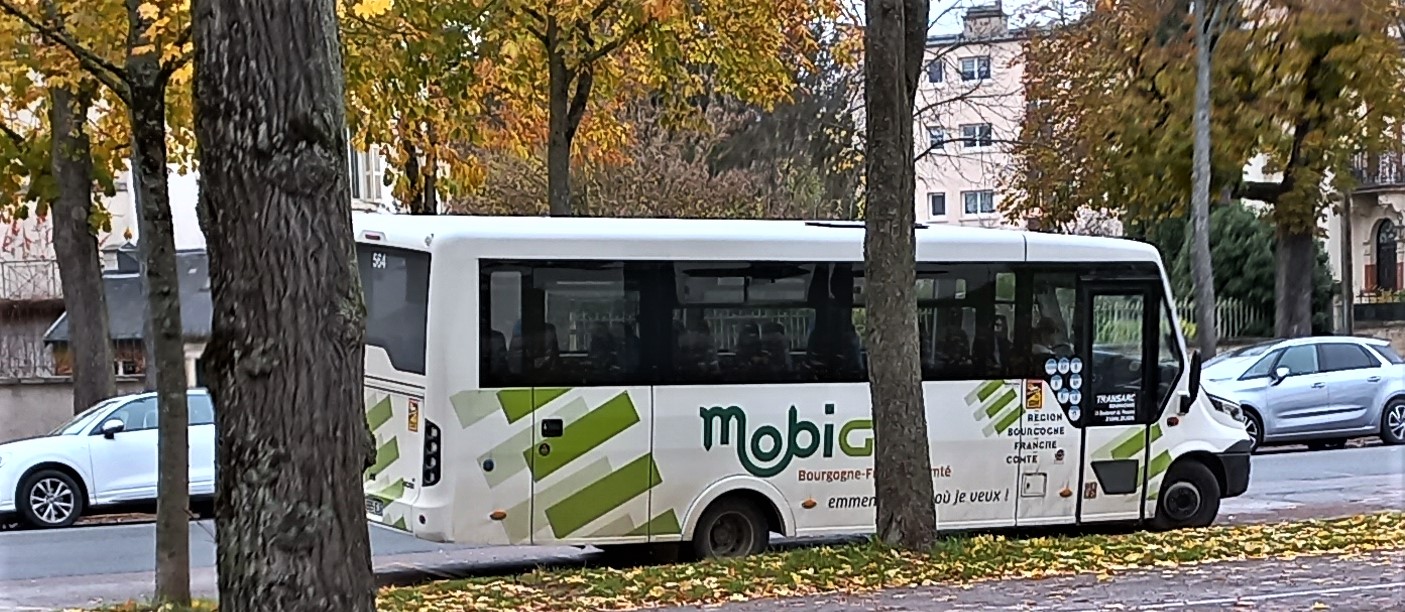 Bus Transco 11 2021